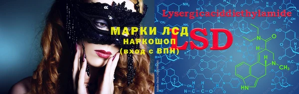 spice Новодвинск