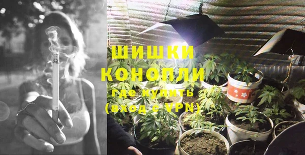 spice Новодвинск