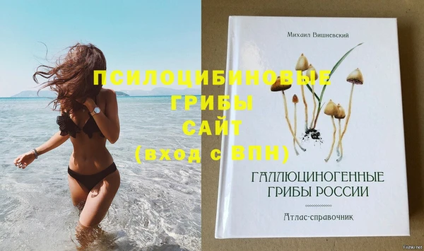 кокс Новокубанск