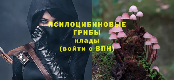 spice Новодвинск