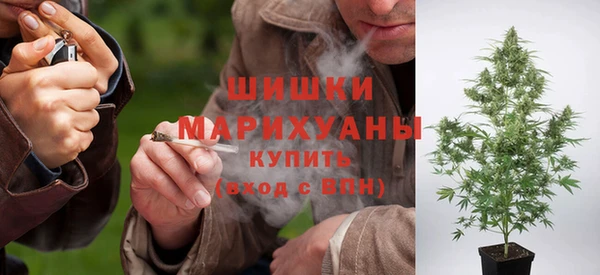 spice Новодвинск