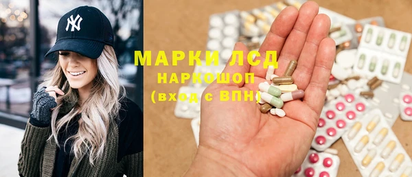 spice Новодвинск