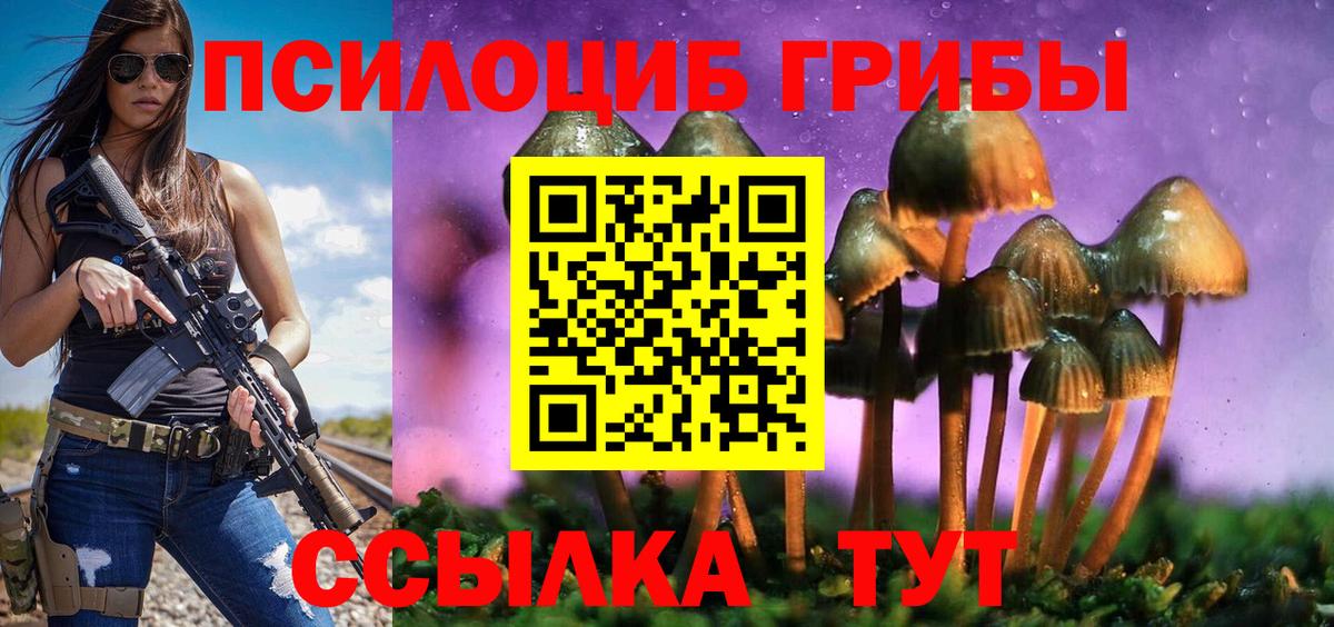 Псилоцибиновые грибы Psilocybine cubensis Ступино