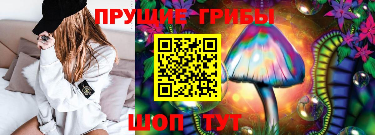 дарнет шоп  Ступино  Галлюциногенные грибы прущие грибы 